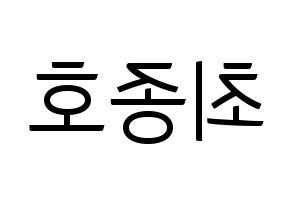 KPOP ATEEZ(에이티즈、エイティーズ) 종호 (ジョンホ) コンサート用　応援ボード・うちわ　韓国語/ハングル文字型紙 左右反転