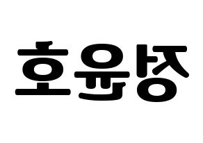 KPOP ATEEZ(에이티즈、エイティーズ) 윤호 (ユノ) コンサート用　応援ボード・うちわ　韓国語/ハングル文字型紙 左右反転