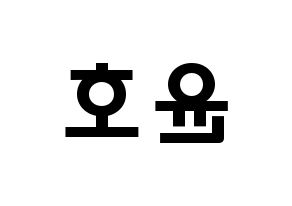 KPOP ATEEZ(에이티즈、エイティーズ) 윤호 (チョン・ユノ, ユノ) 応援ボード、うちわ無料型紙、応援グッズ 左右反転