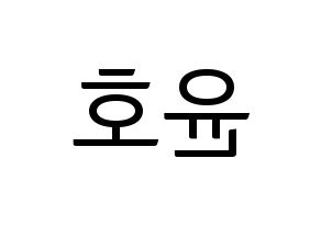 KPOP ATEEZ(에이티즈、エイティーズ) 윤호 (ユノ) コンサート用　応援ボード・うちわ　韓国語/ハングル文字型紙 左右反転