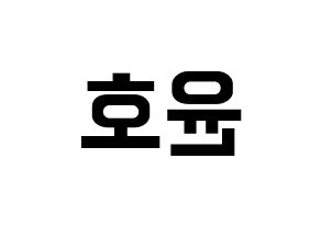 KPOP ATEEZ(에이티즈、エイティーズ) 윤호 (ユノ) k-pop アイドル名前 ファンサボード 型紙 左右反転