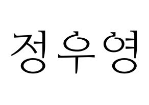 KPOP ATEEZ(에이티즈、エイティーズ) 우영 (ウヨン) 応援ボード・うちわ　韓国語/ハングル文字型紙 通常