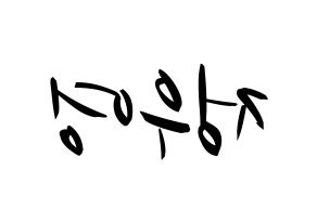 KPOP ATEEZ(에이티즈、エイティーズ) 우영 (ウヨン) k-pop 応援ボード メッセージ 型紙 左右反転