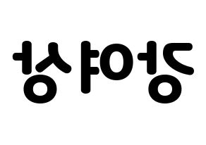 KPOP ATEEZ(에이티즈、エイティーズ) 여상 (ヨサン) 応援ボード・うちわ　韓国語/ハングル文字型紙 左右反転