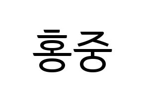KPOP ATEEZ(에이티즈、エイティーズ) 홍중 (ホンジュン) コンサート用　応援ボード・うちわ　韓国語/ハングル文字型紙 通常