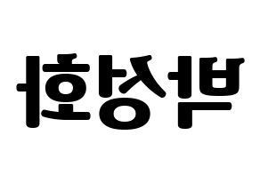 KPOP ATEEZ(에이티즈、エイティーズ) 성화 (ソンファ) コンサート用　応援ボード・うちわ　韓国語/ハングル文字型紙 左右反転