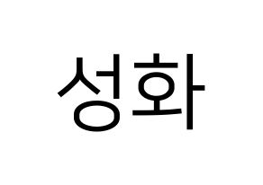 KPOP ATEEZ(에이티즈、エイティーズ) 성화 (ソンファ) プリント用応援ボード型紙、うちわ型紙　韓国語/ハングル文字型紙 通常