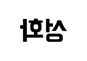 KPOP ATEEZ(에이티즈、エイティーズ) 성화 (ソンファ) k-pop アイドル名前 ファンサボード 型紙 左右反転