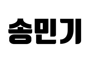 KPOP ATEEZ(에이티즈、エイティーズ) 민기 (ミンギ) コンサート用　応援ボード・うちわ　韓国語/ハングル文字型紙 通常