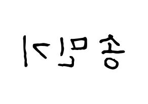 KPOP ATEEZ(에이티즈、エイティーズ) 민기 (ミンギ) k-pop アイドル名前 ファンサボード 型紙 左右反転