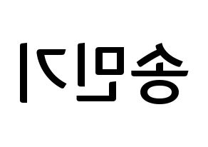 KPOP ATEEZ(에이티즈、エイティーズ) 민기 (ミンギ) k-pop アイドル名前 ファンサボード 型紙 左右反転