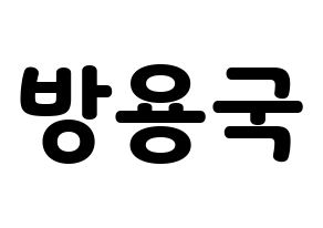 KPOP B.A.P(비에이피、ビーエイピー) 용국 (ヨングク) 応援ボード・うちわ　韓国語/ハングル文字型紙 通常