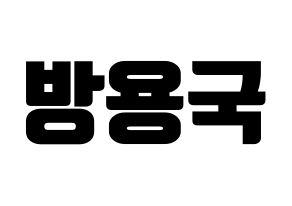 KPOP B.A.P(비에이피、ビーエイピー) 용국 (ヨングク) コンサート用　応援ボード・うちわ　韓国語/ハングル文字型紙 通常