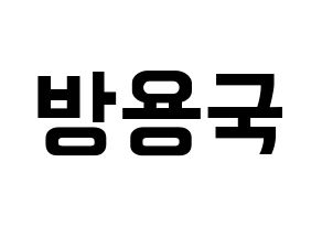 KPOP B.A.P(비에이피、ビーエイピー) 용국 (ヨングク) k-pop アイドル名前 ファンサボード 型紙 通常