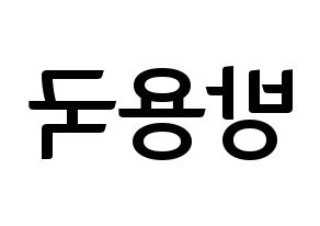KPOP B.A.P(비에이피、ビーエイピー) 용국 (ヨングク) k-pop アイドル名前 ファンサボード 型紙 左右反転