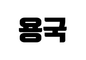 KPOP B.A.P(비에이피、ビーエイピー) 용국 (ヨングク) コンサート用　応援ボード・うちわ　韓国語/ハングル文字型紙 通常