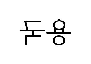 KPOP B.A.P(비에이피、ビーエイピー) 용국 (ヨングク) 応援ボード・うちわ　韓国語/ハングル文字型紙 左右反転