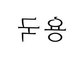 KPOP B.A.P(비에이피、ビーエイピー) 용국 (ヨングク) 応援ボード・うちわ　韓国語/ハングル文字型紙 左右反転