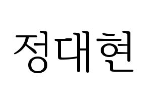 KPOP B.A.P(비에이피、ビーエイピー) 대현 (デヒョン) 応援ボード・うちわ　韓国語/ハングル文字型紙 通常