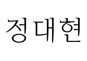 KPOP B.A.P(비에이피、ビーエイピー) 대현 (デヒョン) 応援ボード・うちわ　韓国語/ハングル文字型紙 通常