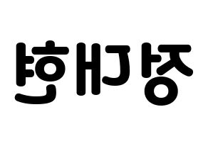 KPOP B.A.P(비에이피、ビーエイピー) 대현 (デヒョン) 応援ボード・うちわ　韓国語/ハングル文字型紙 左右反転