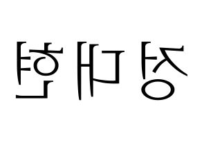 KPOP B.A.P(비에이피、ビーエイピー) 대현 (デヒョン) 応援ボード・うちわ　韓国語/ハングル文字型紙 左右反転