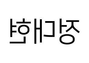 KPOP B.A.P(비에이피、ビーエイピー) 대현 (デヒョン) プリント用応援ボード型紙、うちわ型紙　韓国語/ハングル文字型紙 左右反転
