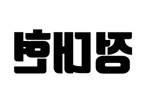 KPOP B.A.P(비에이피、ビーエイピー) 대현 (デヒョン) コンサート用　応援ボード・うちわ　韓国語/ハングル文字型紙 左右反転