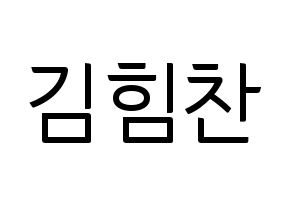 KPOP B.A.P(비에이피、ビーエイピー) 힘찬 (ヒムチャン) コンサート用　応援ボード・うちわ　韓国語/ハングル文字型紙 通常