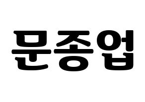 KPOP B.A.P(비에이피、ビーエイピー) 종업 (ジョンオプ) コンサート用　応援ボード・うちわ　韓国語/ハングル文字型紙 通常