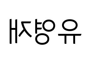 KPOP B.A.P(비에이피、ビーエイピー) 영재 (ヨンジェ) コンサート用　応援ボード・うちわ　韓国語/ハングル文字型紙 左右反転