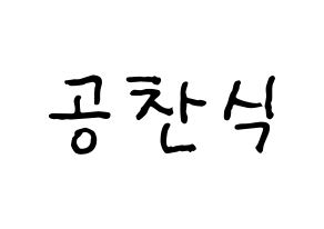 KPOP B1A4(비원에이포、ビーワンエーフォー) 공찬 (ゴンチャン) k-pop アイドル名前 ファンサボード 型紙 通常