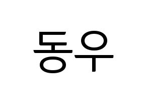 KPOP B1A4(비원에이포、ビーワンエーフォー) 신우 (シヌゥ) コンサート用　応援ボード・うちわ　韓国語/ハングル文字型紙 通常