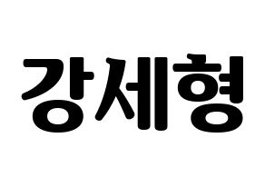 KPOP Berry Good(베리굿、ベリー・グッド) 세형 (セヒョン) コンサート用　応援ボード・うちわ　韓国語/ハングル文字型紙 通常