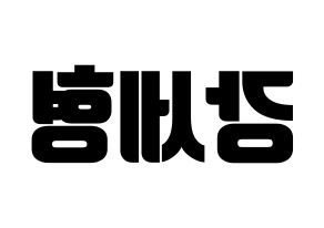 KPOP Berry Good(베리굿、ベリー・グッド) 세형 (セヒョン) コンサート用　応援ボード・うちわ　韓国語/ハングル文字型紙 左右反転