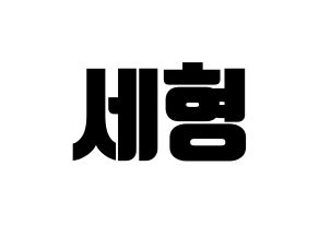 KPOP Berry Good(베리굿、ベリー・グッド) 세형 (セヒョン) コンサート用　応援ボード・うちわ　韓国語/ハングル文字型紙 通常