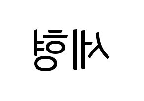 KPOP Berry Good(베리굿、ベリー・グッド) 세형 (セヒョン) コンサート用　応援ボード・うちわ　韓国語/ハングル文字型紙 左右反転