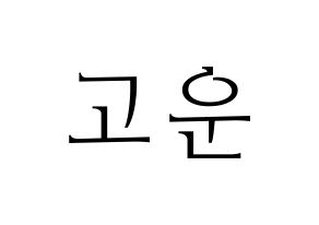 KPOP Berry Good(베리굿、ベリー・グッド) 고운 (ゴウン) 応援ボード・うちわ　韓国語/ハングル文字型紙 通常