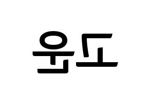 KPOP Berry Good(베리굿、ベリー・グッド) 고운 (ゴウン) k-pop アイドル名前 ファンサボード 型紙 左右反転
