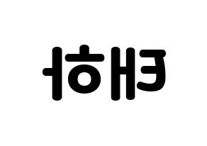 KPOP Berry Good(베리굿、ベリー・グッド) 태하 (テハ) 応援ボード・うちわ　韓国語/ハングル文字型紙 左右反転