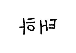 KPOP Berry Good(베리굿、ベリー・グッド) 태하 (テハ) k-pop アイドル名前 ファンサボード 型紙 左右反転