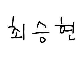 KPOP BIGBANG(빅뱅、ビッグバン) 탑 (T.O.P) k-pop 応援ボード メッセージ 型紙 通常