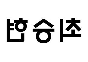 KPOP BIGBANG(빅뱅、ビッグバン) 탑 (チェ・スンヒョン, T.O.P) 応援ボード、うちわ無料型紙、応援グッズ 左右反転