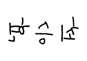 KPOP BIGBANG(빅뱅、ビッグバン) 탑 (T.O.P) k-pop 応援ボード メッセージ 型紙 左右反転