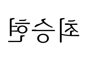 KPOP BIGBANG(빅뱅、ビッグバン) 탑 (T.O.P) 応援ボード・うちわ　韓国語/ハングル文字型紙 左右反転