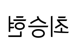 KPOP BIGBANG(빅뱅、ビッグバン) 탑 (T.O.P) コンサート用　応援ボード・うちわ　韓国語/ハングル文字型紙 左右反転