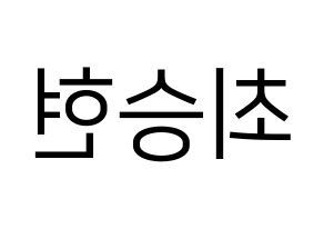 KPOP BIGBANG(빅뱅、ビッグバン) 탑 (T.O.P) プリント用応援ボード型紙、うちわ型紙　韓国語/ハングル文字型紙 左右反転