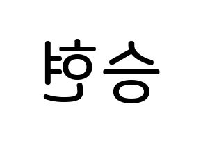 KPOP BIGBANG(빅뱅、ビッグバン) 탑 (チェ・スンヒョン, T.O.P) 無料サイン会用、イベント会用応援ボード型紙 左右反転