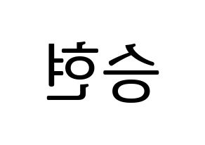 KPOP BIGBANG(빅뱅、ビッグバン) 탑 (T.O.P) プリント用応援ボード型紙、うちわ型紙　韓国語/ハングル文字型紙 左右反転