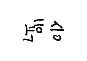 KPOP BIGBANG(빅뱅、ビッグバン) 탑 (T.O.P) k-pop アイドル名前 ファンサボード 型紙 左右反転